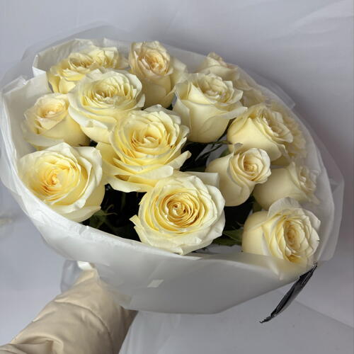 review-photo-before