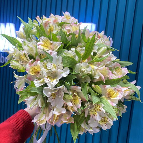 review-photo-before