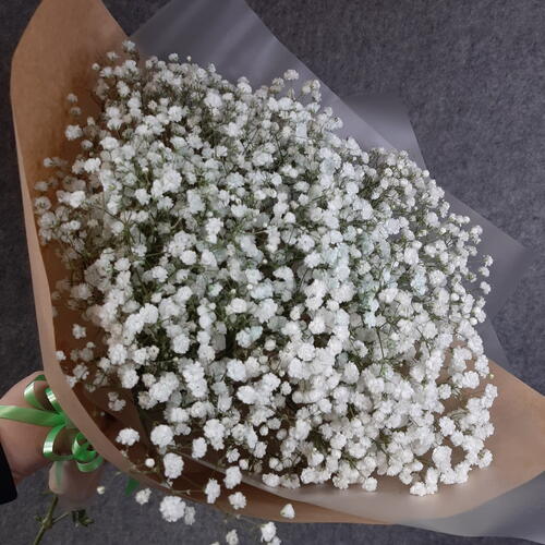 review-photo-before