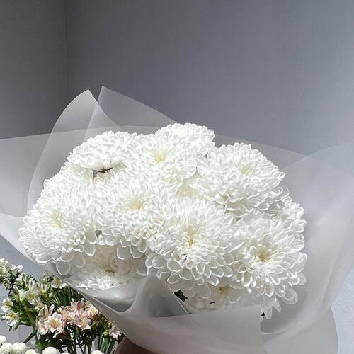 review-photo-before