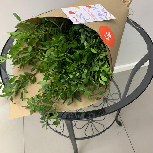 review-photo-before