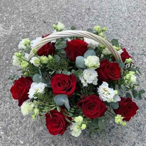 review-photo-before