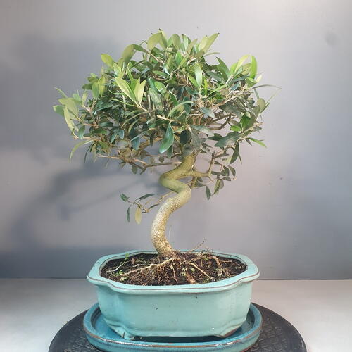 review-photo-before