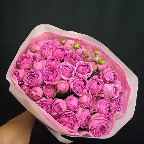 review-photo-before