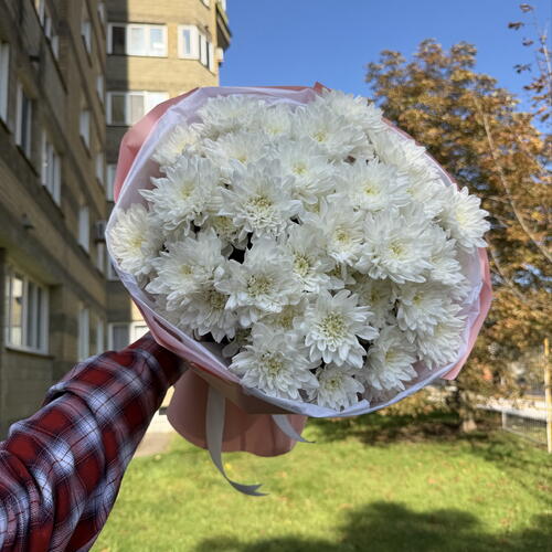 review-photo-before