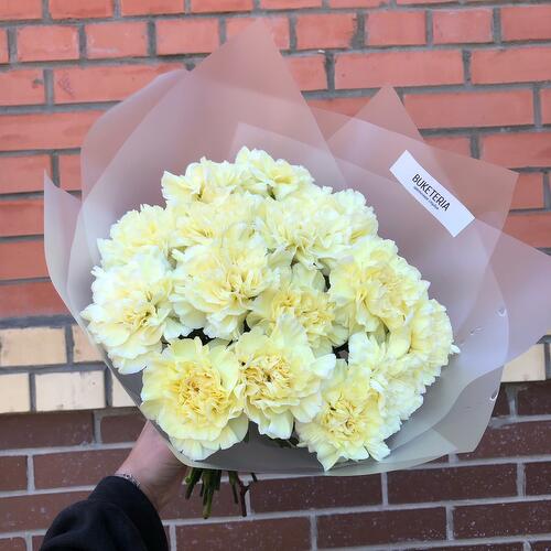 review-photo-before