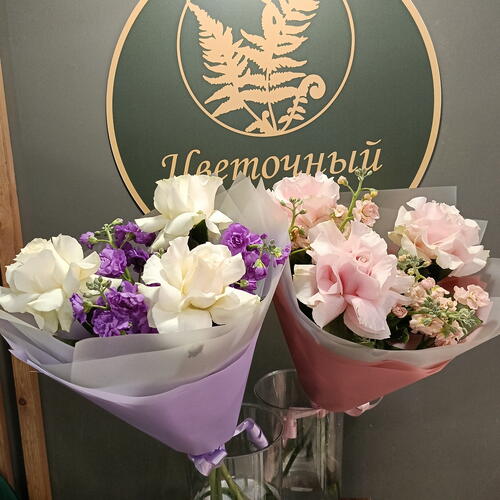 review-photo-before