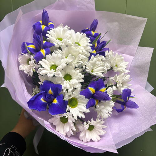 review-photo-before
