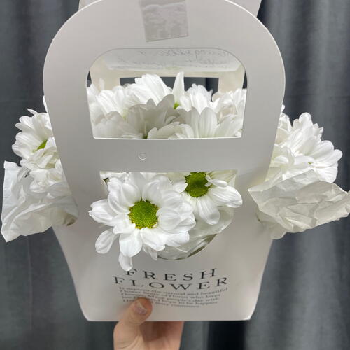 review-photo-before