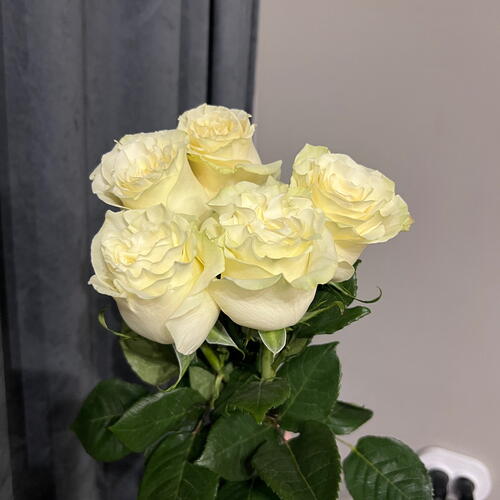 review-photo-before