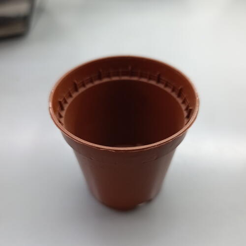 review-photo-before