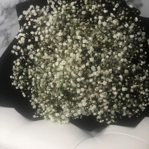review-photo-before