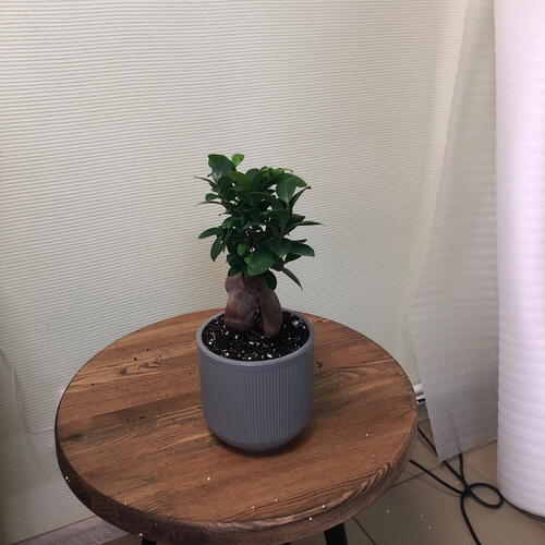 review-photo-before