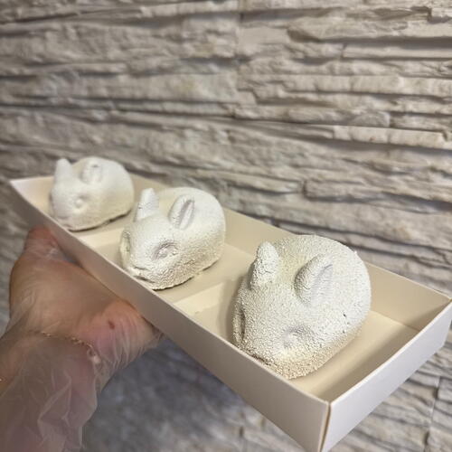 review-photo-before