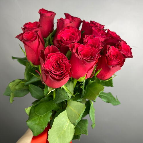 review-photo-before