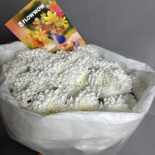 review-photo-before