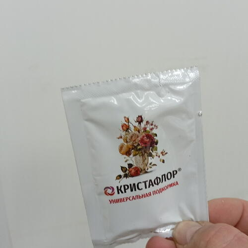 review-photo-before