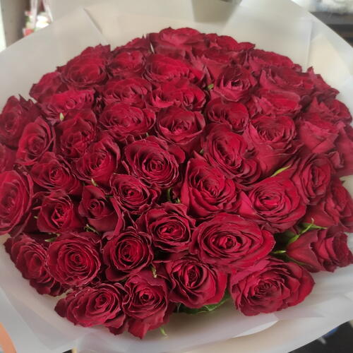 review-photo-before