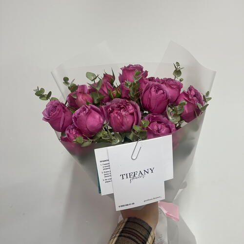 review-photo-before