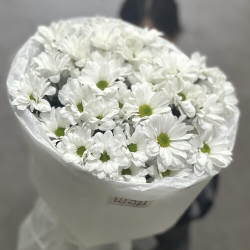 review-photo-before