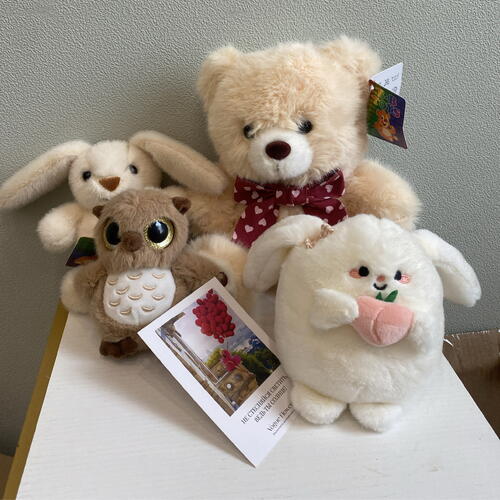 review-photo-before