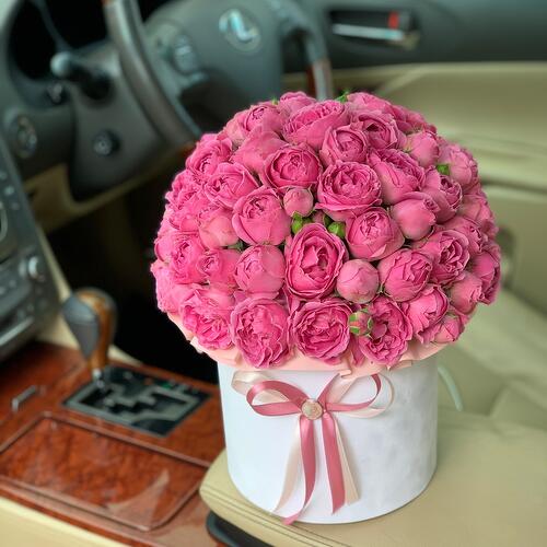 review-photo-before