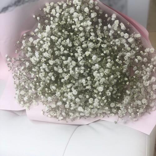 review-photo-before
