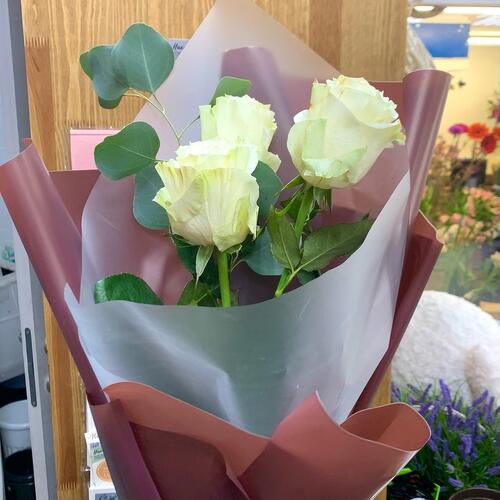 review-photo-before