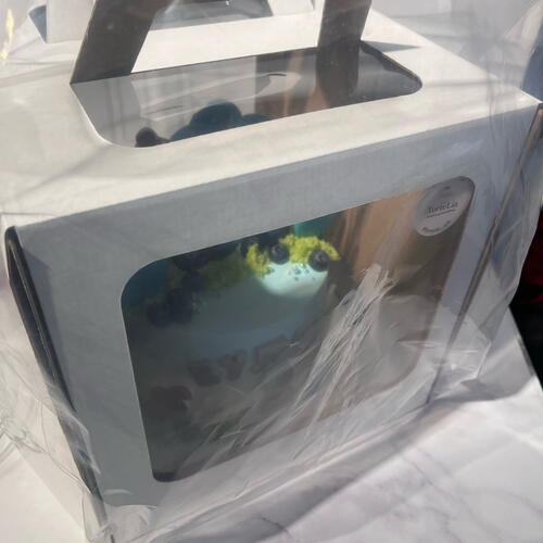 review-photo-before