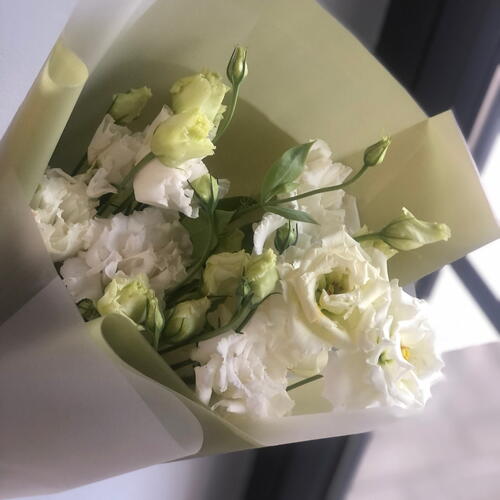 review-photo-before