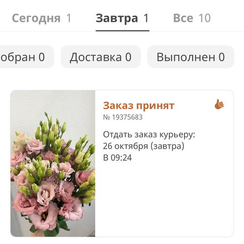 review-photo-before