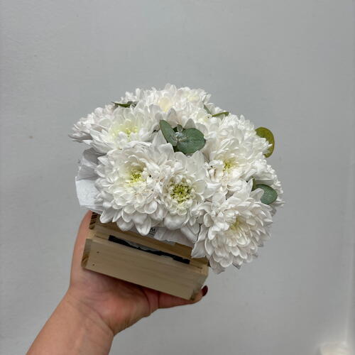 review-photo-before