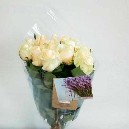 review-photo-before