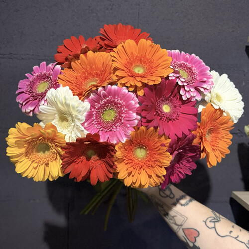 review-photo-before