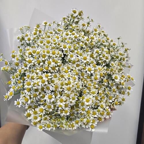 review-photo-before