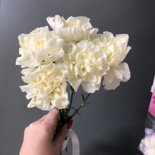 review-photo-before