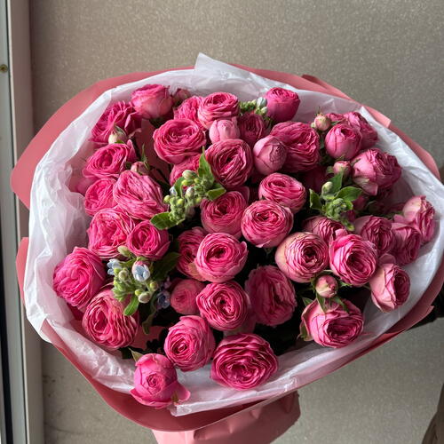 review-photo-before
