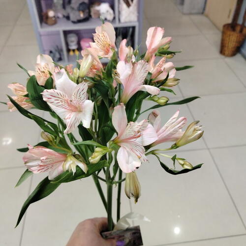 review-photo-before