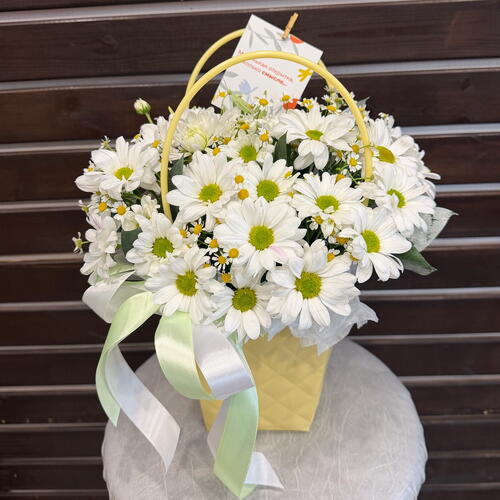 review-photo-before