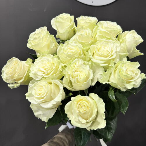 review-photo-before