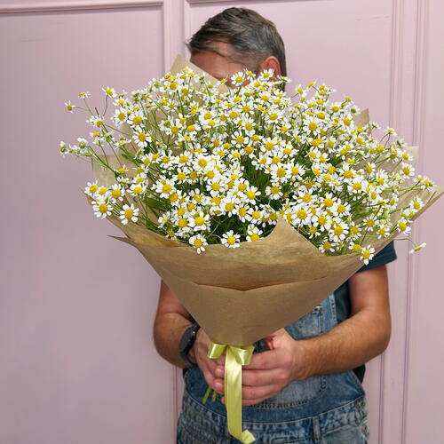 review-photo-before