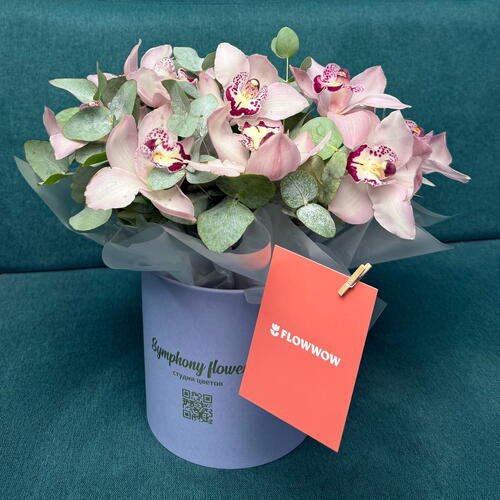 review-photo-before