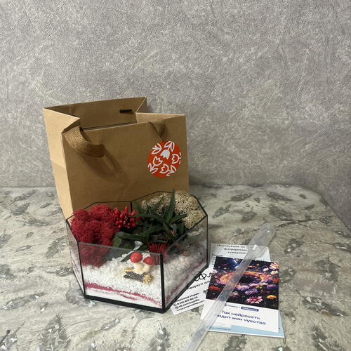 review-photo-before