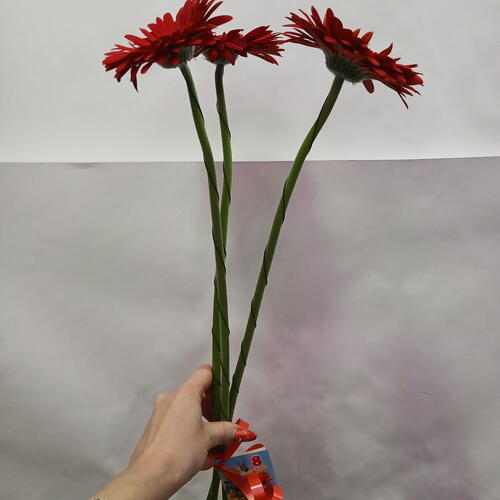 review-photo-before
