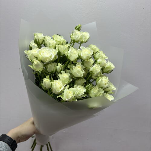review-photo-before