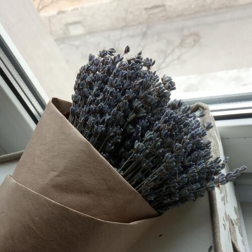 review-photo-before