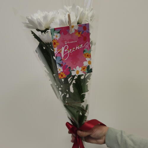 review-photo-before