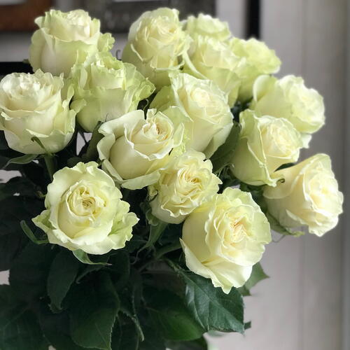 review-photo-before