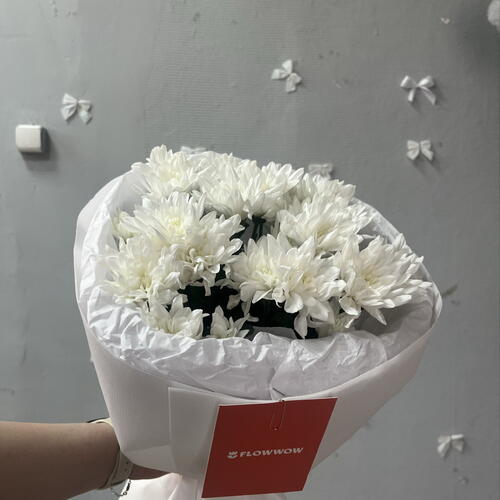 review-photo-before