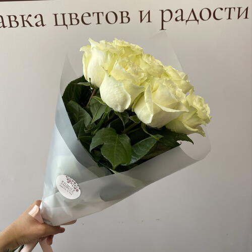 review-photo-before